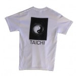 taichi2a